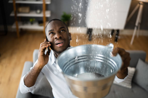 Best Water damage cleanup near me  in Millville, NJ