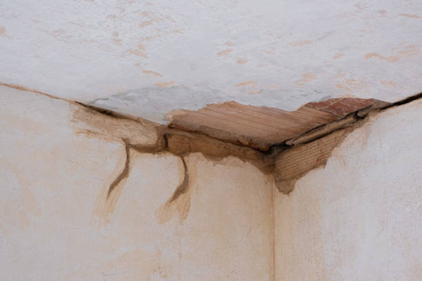 Best Water damage contractors near me  in Millville, NJ