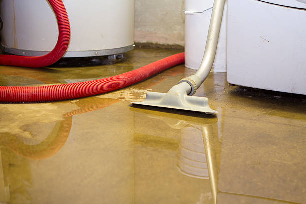Best Flooded house restoration  in Millville, NJ