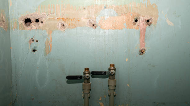 Best Flood damage cleanup  in Millville, NJ